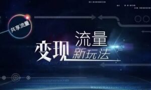 流量怎么变现呢，又赚钱又涨粉的内容怎么做？-个人经验技术分享