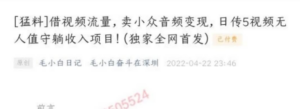 毛小白奋斗在深圳:借视频流量卖小众音频变现,日传5视频无人值守躺赚项目-个人经验技术分享