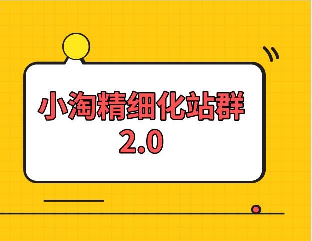 小淘学社：实操精细化网站站群2.0【全套视频教程】