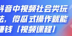 抖音中视频零基础操作就能赚钱,社会类玩法视频教程-个人经验技术分享