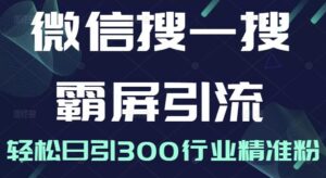 微信搜一搜霸屏引流无水印课程，打造精准被动引流系统，轻松每天引流三百行业精准粉-个人经验技术分享