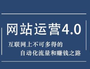 最新暴疯团队网站赚钱项目课程-个人经验技术分享