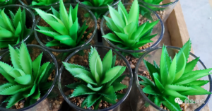 小城市创业适合做什么,还没多少人知道的小城市生意,利润高达100%-个人经验技术分享