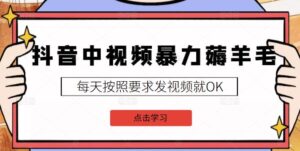 抖音中视频2022年最新薅羊毛白嫖项目，可多号操作新号每天20块，老号可以几天几百块-个人经验技术分享