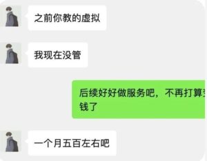 苏笙君适合新手的睡后收入副业项目赚钱方法和思路（付费文章）-个人经验技术分享
