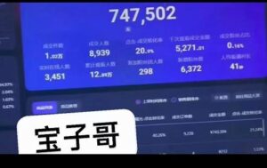 宝子哥无人直播，半无人直播，Obs+伴侣玩法，快速打标签+养鱼-个人经验技术分享