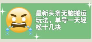 最新头条搬运玩法单号日利润轻松十几块-个人经验技术分享