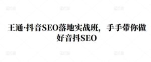 抖音SEO技术实战培训班,带你从零基础做好抖音SEO-个人经验技术分享