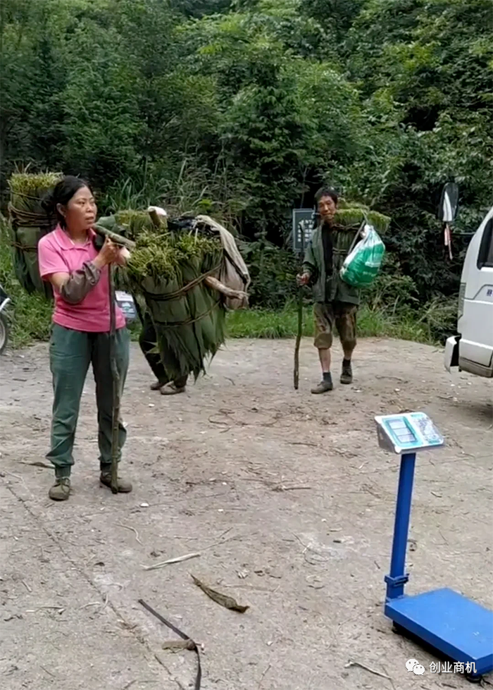 图片[2]-农村一个人也能干的冷门生意，两个小时净赚400元-个人经验技术分享