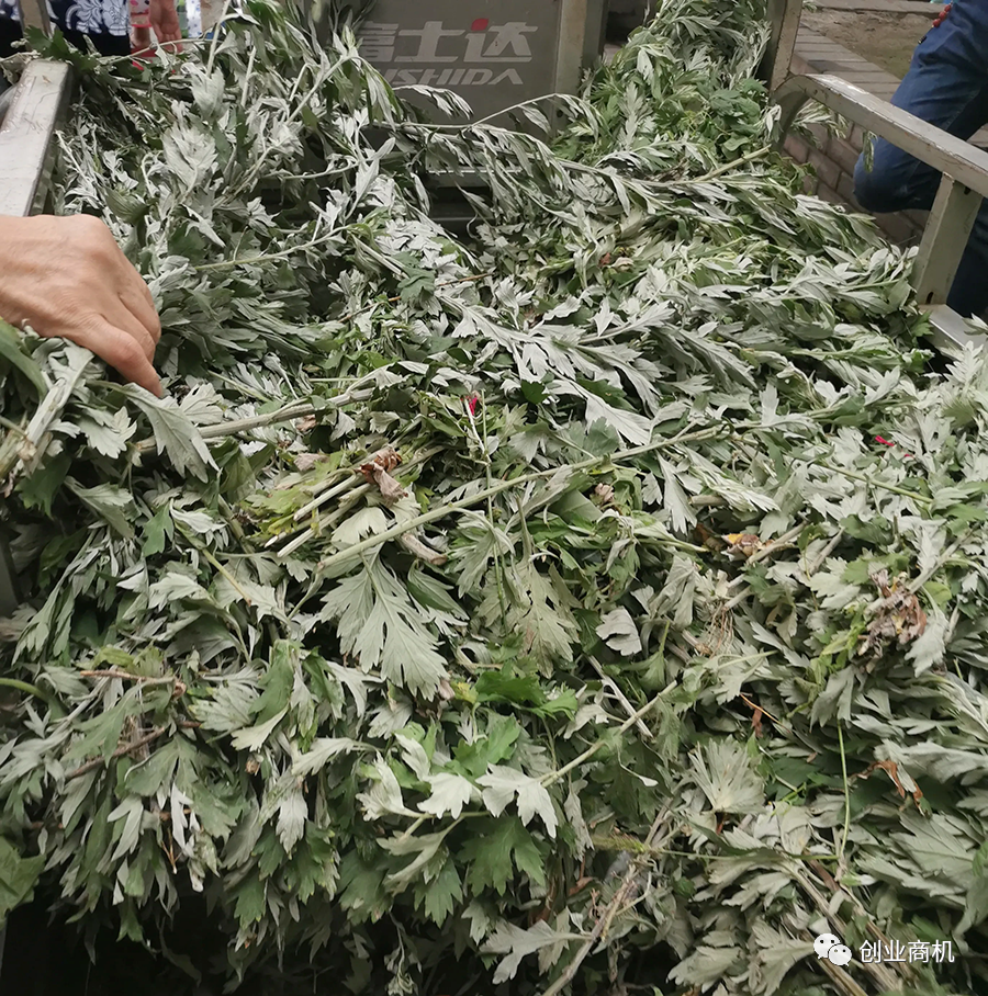 图片[1]-农村一个人也能干的冷门生意，两个小时净赚400元-个人经验技术分享