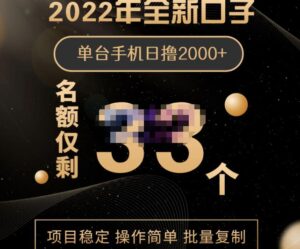 全新口子手机批量搬砖玩法每台手机日撸2000+-个人经验技术分享
