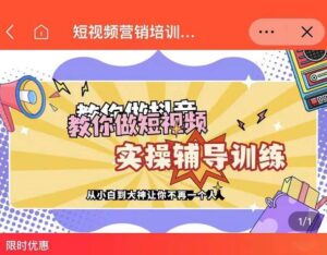 蕊总很忙短视频营销策略培训,教你做短视频实操辅导训练-个人经验技术分享