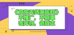 诺思星商学院最新教程：京东无货源电商店群怎么做，不需要推广刷单低成本零库存-个人经验技术分享