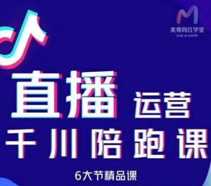 抖音直播运营千川投放技巧系统课程-个人经验技术分享