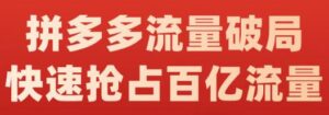 拼多多流量破局训练营,快速抢占拼多多百亿流量-个人经验技术分享