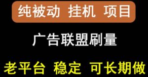 稳定挂机oneptp出海广告联盟挂机项目,每天赚几块钱可多台批量操作-个人经验技术分享