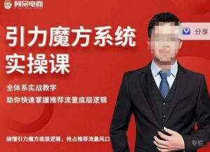 阿呆引力魔方系统全体系实战教学,助你快速掌握推荐流量底层逻辑-个人经验技术分享