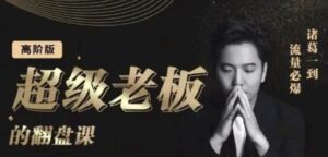 诸葛超级老板的翻盘高阶版课程-个人经验技术分享