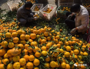 不起眼的小生意2000元起步投资年入40万两年买一套房!-个人经验技术分享
