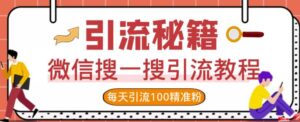 微信搜一搜每天引流100精准粉视频课程-个人经验技术分享