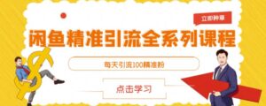 闲鱼每天引流100精准粉系列课程-个人经验技术分享