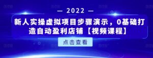 新人实操虚拟项目零基础打造自动盈利店铺-个人经验技术分享