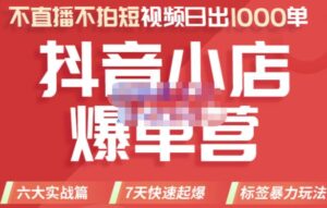 最新抖音小店爆款爆单营日出1000单课程-个人经验技术分享