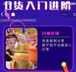 朱白板抖音带货实操运营进阶课-个人经验技术分享