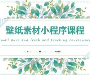 闪闪壁纸素材小程序运营课程，抓住图文风口快速吸粉变现-个人经验技术分享