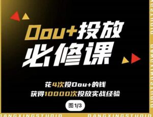 代同学DOU+投放必修课，用付费流量撬动自然流量，超额变现转化-个人经验技术分享