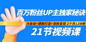 百万粉丝UP主涨粉变现独家秘诀21节视频课程-小米资源网