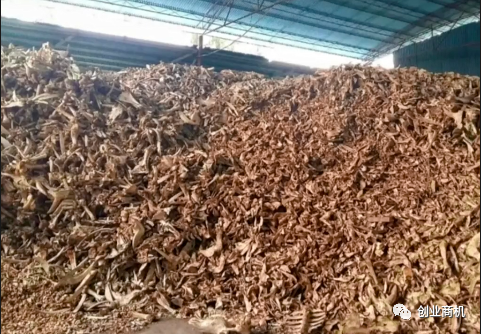 图片[1]-农村不起眼生意，回收成本400元一吨，简单加工卖3000元，年挣30万-个人经验技术分享