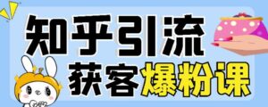最新知乎爆粉引流实操课，知乎引流获客爆粉技术，引流效果杠杠的-个人经验技术分享