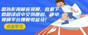 国外影视解说视频，批量下载翻译成中文伪原创，传中视频平台赚取收益-小米资源网