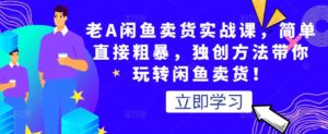 老A闲鱼卖货实战教程，带你从零基础玩转闲鱼卖货，简单通俗易懂-个人经验技术分享