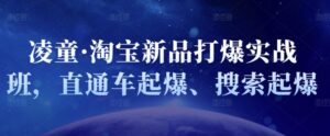 淘宝新品直通车搜索实战课程-个人经验技术分享