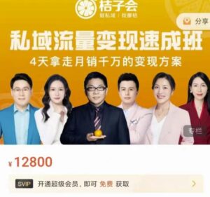 桔子会私域流量变现速成班价值12800元-个人经验技术分享