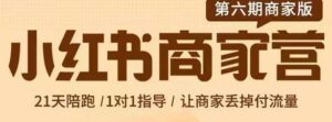 小红书商家营带货陪跑课，让商家丢掉付费流量-个人经验技术分享