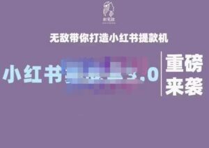 最新小红书实战课程，带你打造小红书提款机-个人经验技术分享