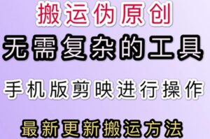 最新抖音快手搬运技术,无需复杂工具新手可操作-个人经验技术分享