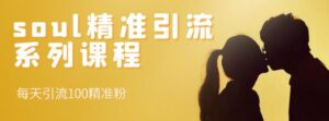soul精准引流系列每天引流100精准粉-个人经验技术分享