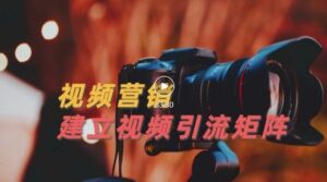 视频营销建立引流矩阵，帮助新手打造涨粉系统-个人经验技术分享