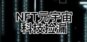 元本空间sky七级空间ibox幻藏等NTF捡漏合集-个人经验技术分享