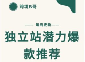 跨境B哥独立站潜力爆款选品推荐-个人经验技术分享