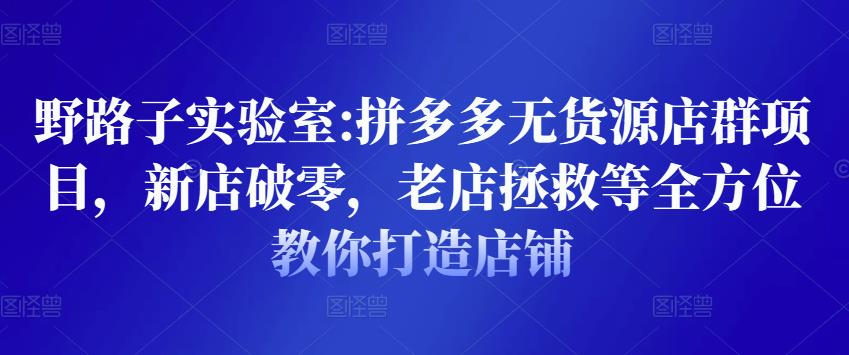 2022拼多多无货源店群项目，新店破零，老店拯救等全方位教你打造店铺