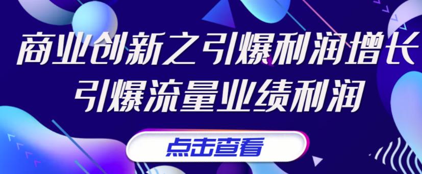 《商业创新之引爆利润增长》引爆流量业绩利润