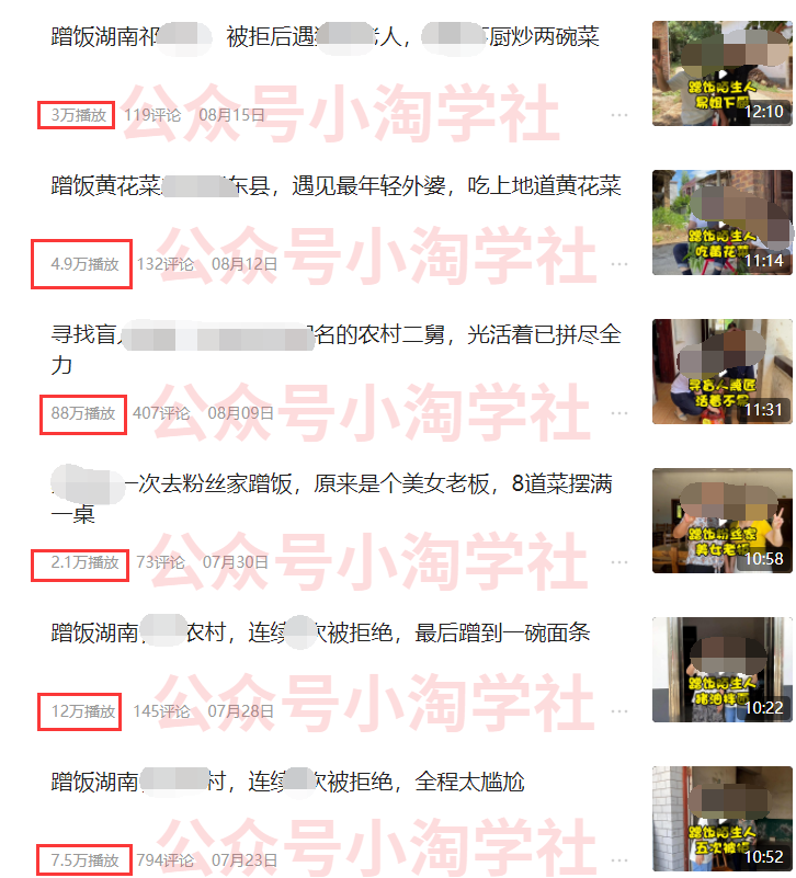 图片[1]-分享做蹭饭领域及vlog领域的中视频项目月收益有多少-个人经验技术分享