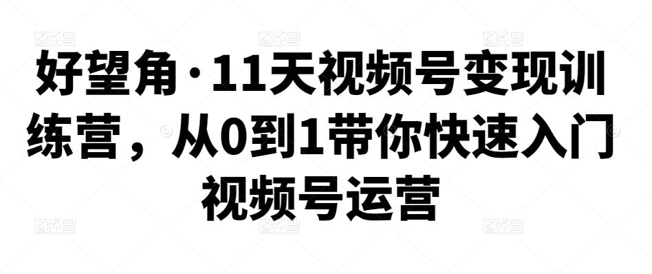 11天视频号变现训练营，从0到1带你快速入门视频号运营