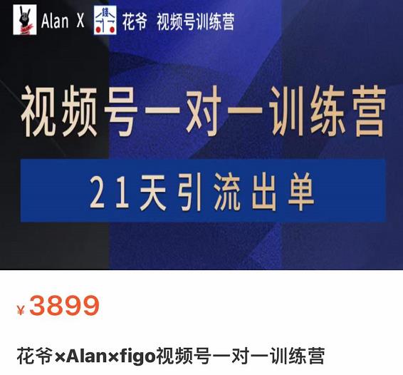 花爷×Alan×figo视频号训练营，带货，涨粉，直播，游戏，四大变现新方向，21天引流出单