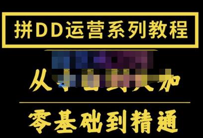 2022全套拼多多核心实操课程，从0-1轻松起链接实战，低投入高产出运作店铺